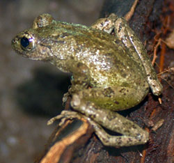 �J�W�J�K�G��