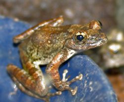 �J�W�J�K�G��