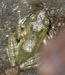 �J�W�J�K�G��