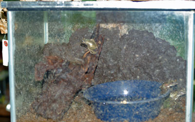 �J�W�J�K�G��