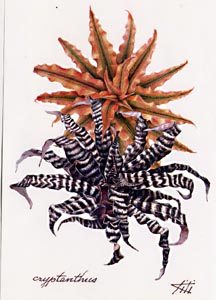 [kiti009.jpg]