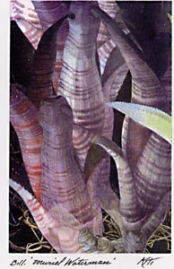 [kiti011.jpg]