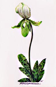 [kiti013.jpg]