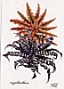 [kiti009.jpg]